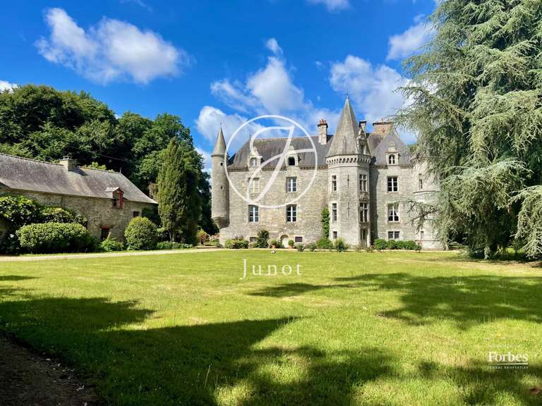 Propriété La Chapelle-Caro - 12 chambres - 622m²