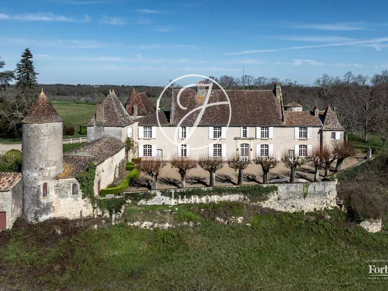 Propriété Castillon-la-Bataille - 8 chambres - 823m²