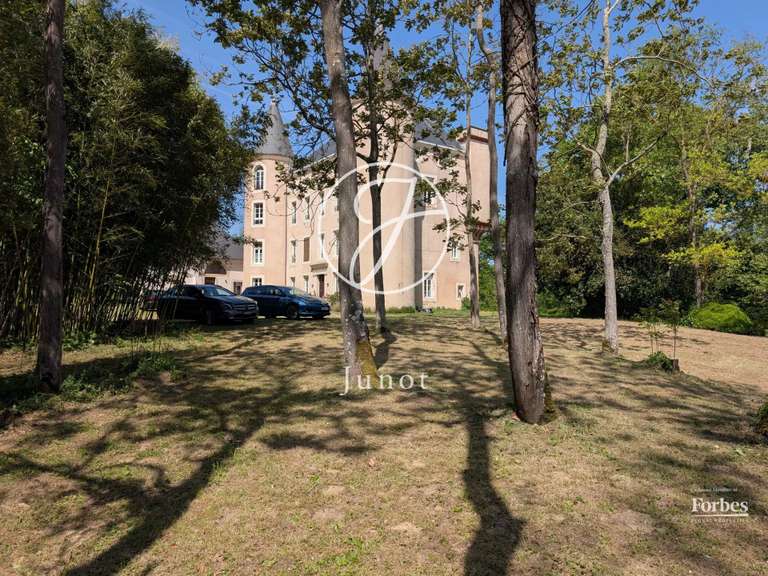 Property Villefranche-de-Lauragais - 12 bedrooms - 800m²