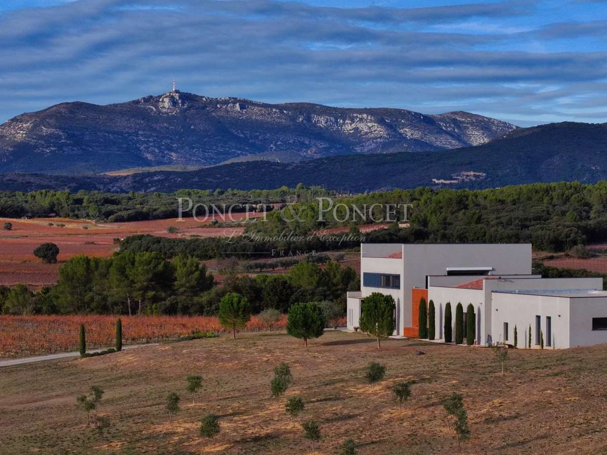 Property Montpeyroux