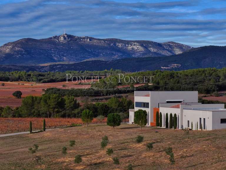 Property Montpeyroux