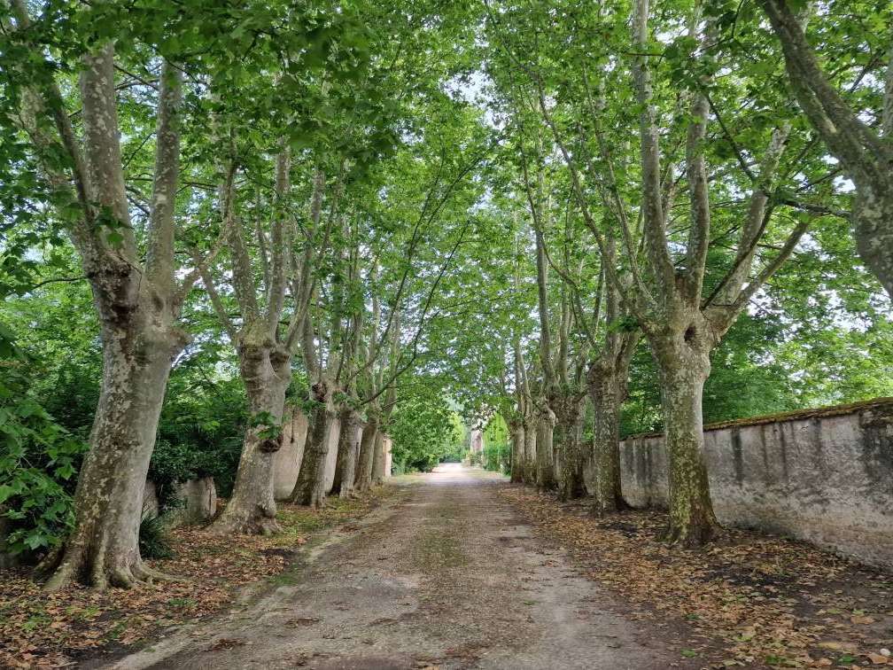 Propriété Carcassonne