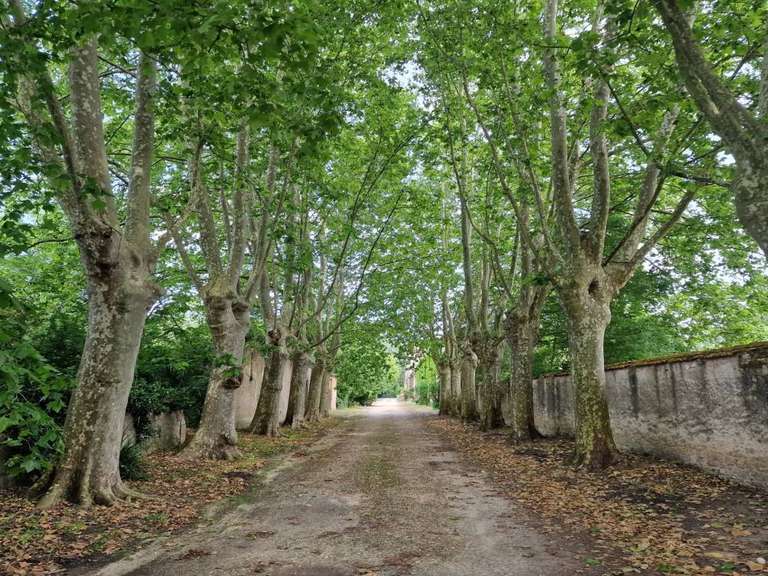 Propriété Carcassonne - 12 chambres - 840m²