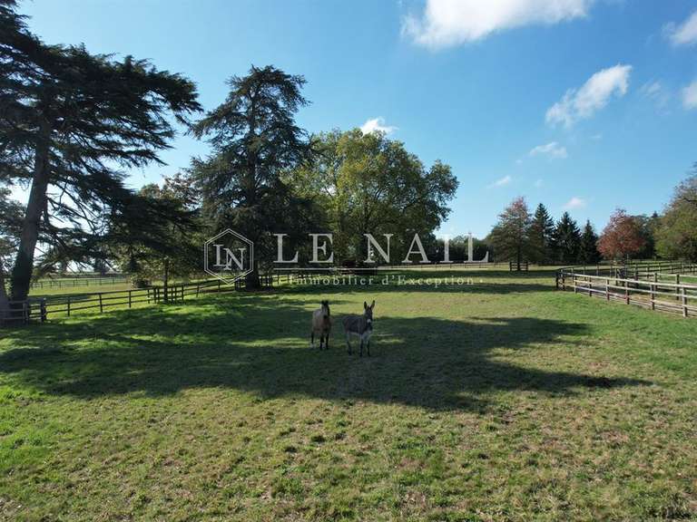 Propriété Châteaubourg - 6 chambres - 429m²
