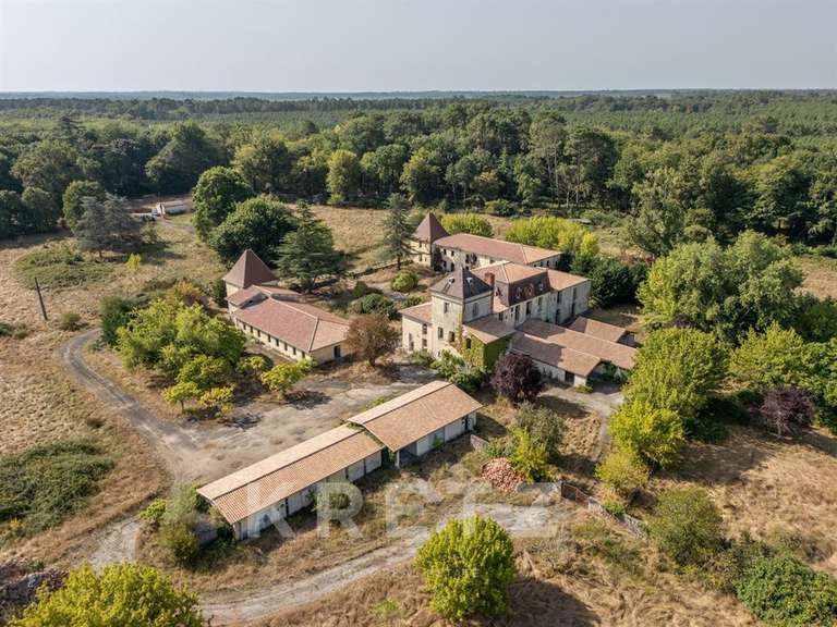 Propriété Bordeaux - 3200m²