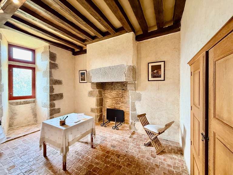 Propriété Sillé-le-Guillaume - 7 chambres - 460m²