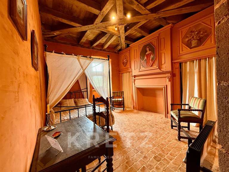 Propriété Sillé-le-Guillaume - 7 chambres - 460m²