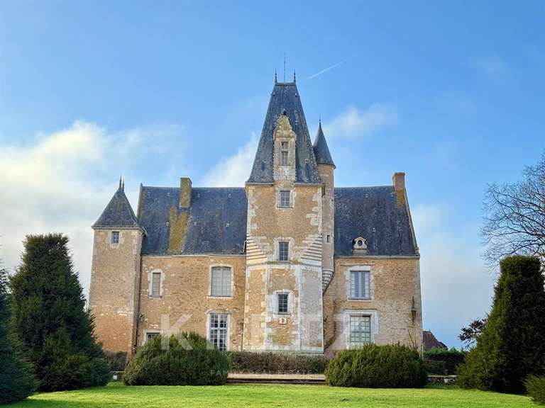 Property Noyen-sur-Sarthe - 5 bedrooms - 505m²
