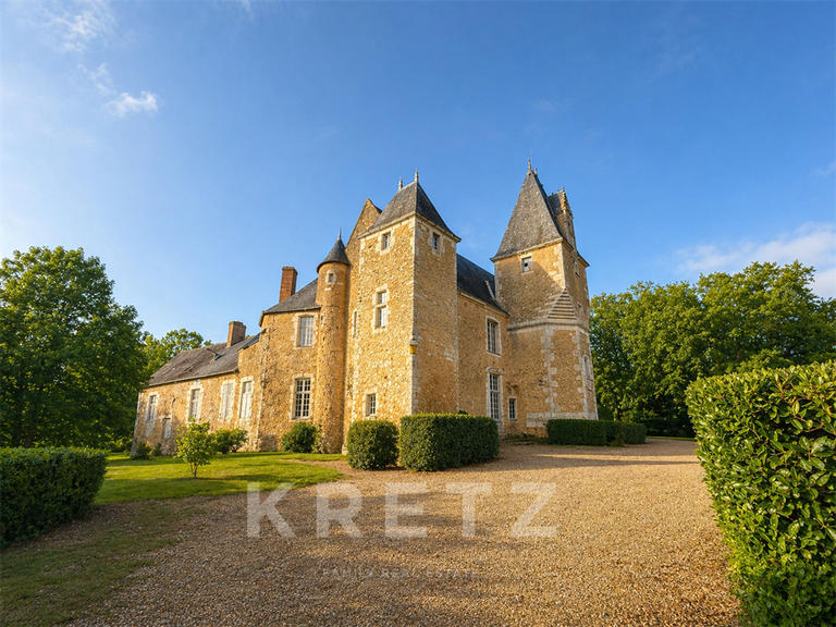 Property Noyen-sur-Sarthe - 5 bedrooms - 505m²