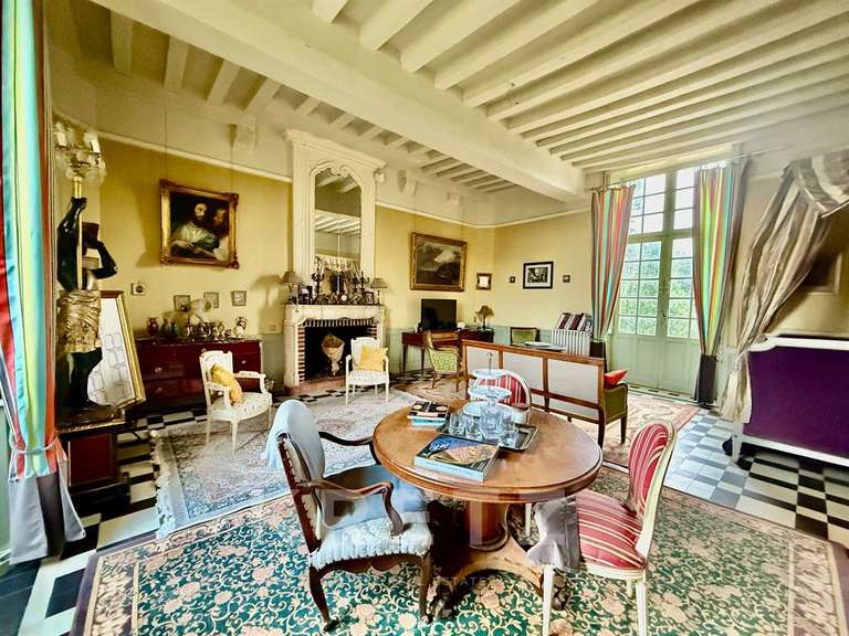 Property Noyen-sur-Sarthe - 5 bedrooms - 505m²