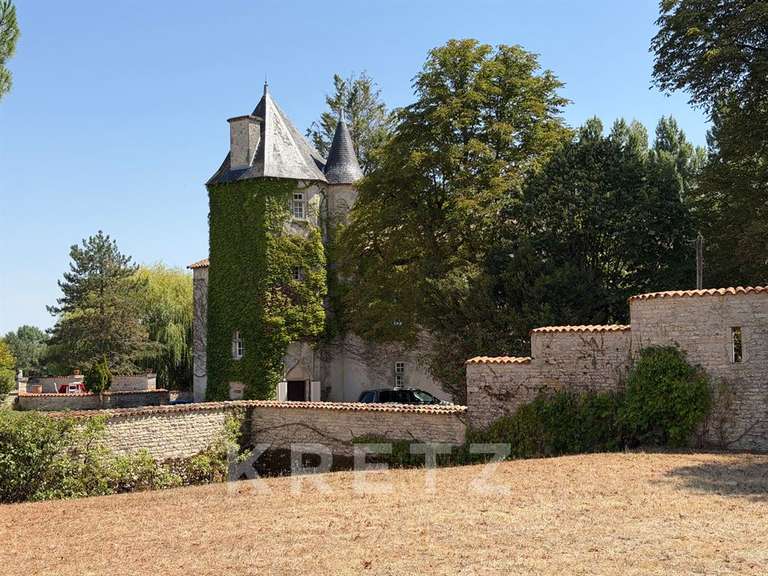 Propriété Fontenille-Saint-Martin-d'Entraigues - 350m²