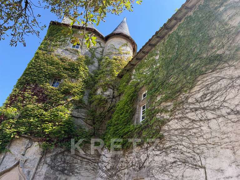 Propriété Fontenille-Saint-Martin-d'Entraigues - 350m²