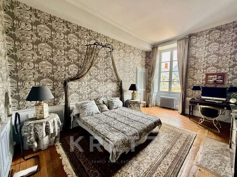 Propriété Segré-en-Anjou-Bleu - 16 chambres - 1400m²