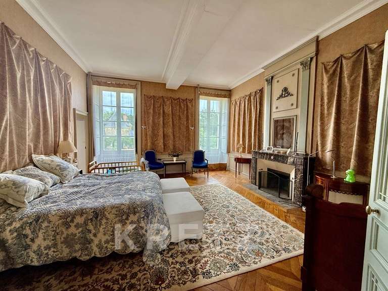 Propriété Segré-en-Anjou-Bleu - 16 chambres - 1400m²