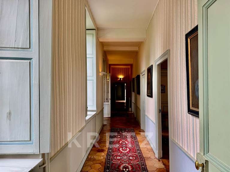 Propriété Segré-en-Anjou-Bleu - 16 chambres - 1400m²