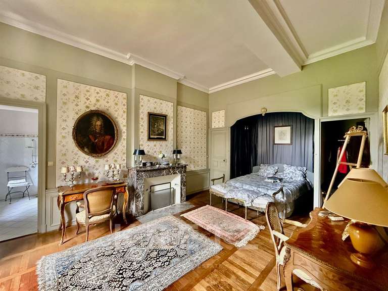 Propriété Segré-en-Anjou-Bleu - 16 chambres - 1400m²