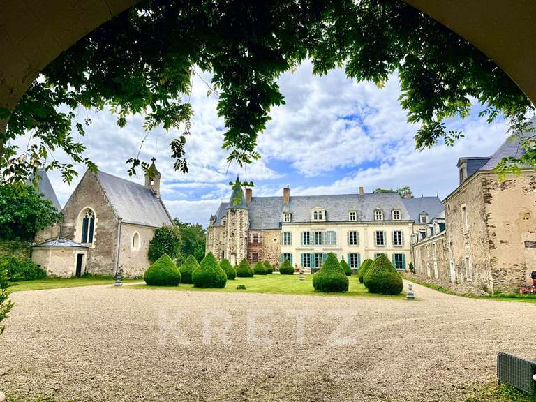Propriété Segré-en-Anjou-Bleu - 16 chambres - 1400m²