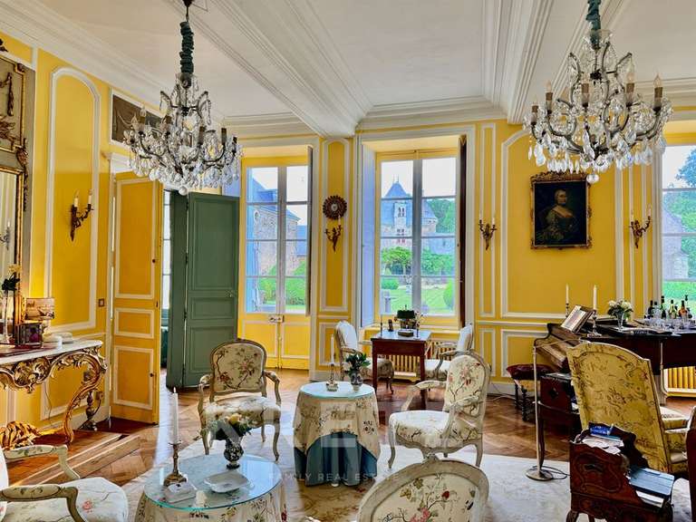 Propriété Segré-en-Anjou-Bleu - 16 chambres - 1400m²