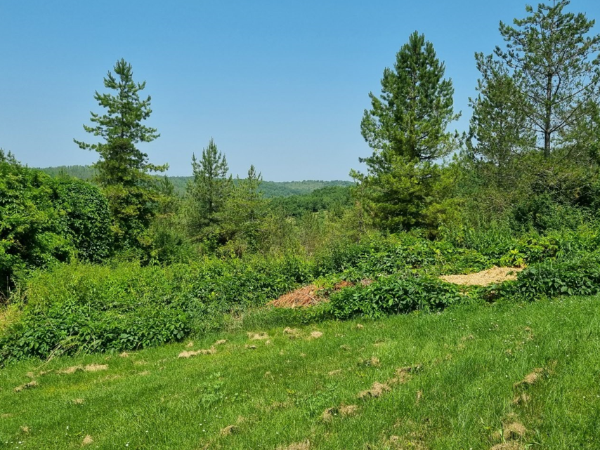Propriété Thézac