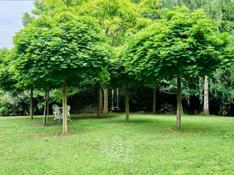Maison Mouvaux - 4 chambres - 372m²