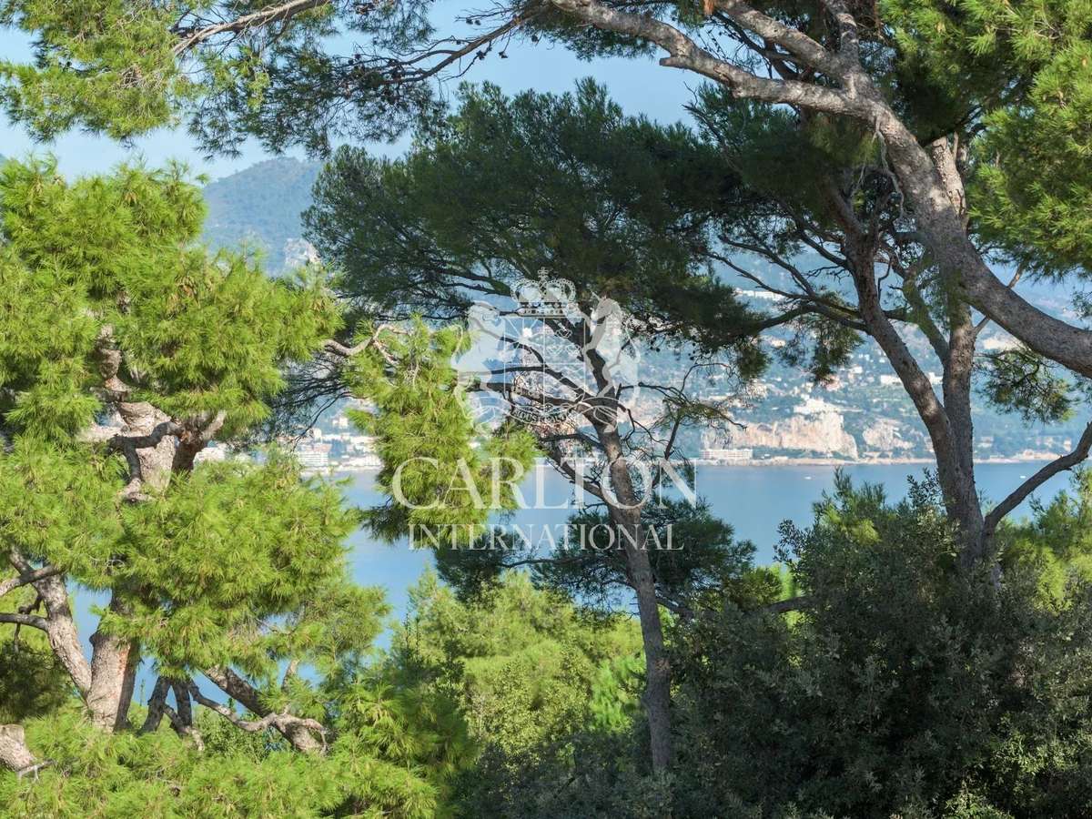 House Monaco