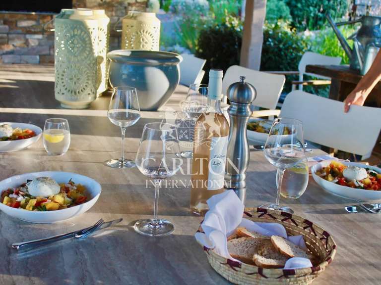 House Tourrettes - 4 bedrooms - 250m²