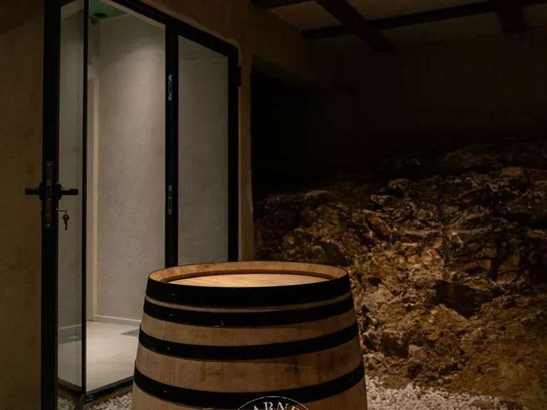 Maison Auriol - 6 chambres - 500m²