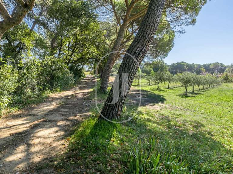 Maison Beaumes-de-Venise - 6 chambres - 388m²