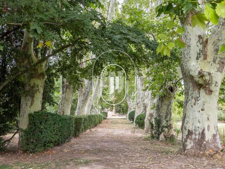 Maison Pernes-les-Fontaines - 4 chambres - 550m²
