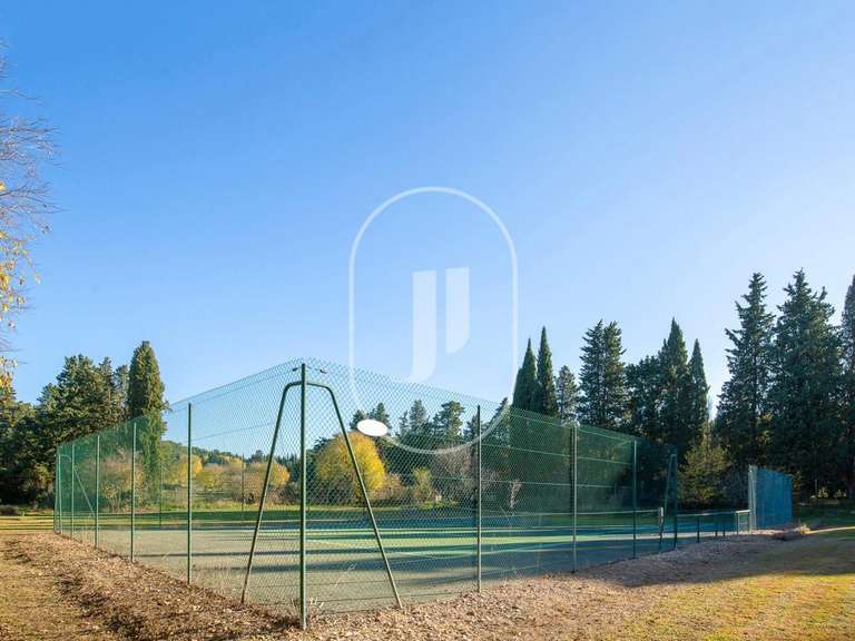 House Saint-Étienne-du-Grès - 10 bedrooms - 520m²