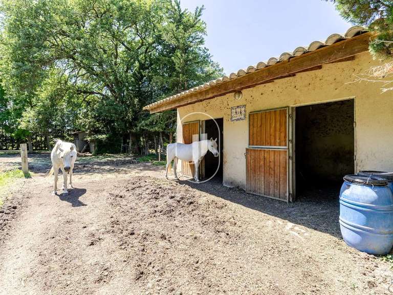 Maison Cavaillon - 3 chambres - 162m²