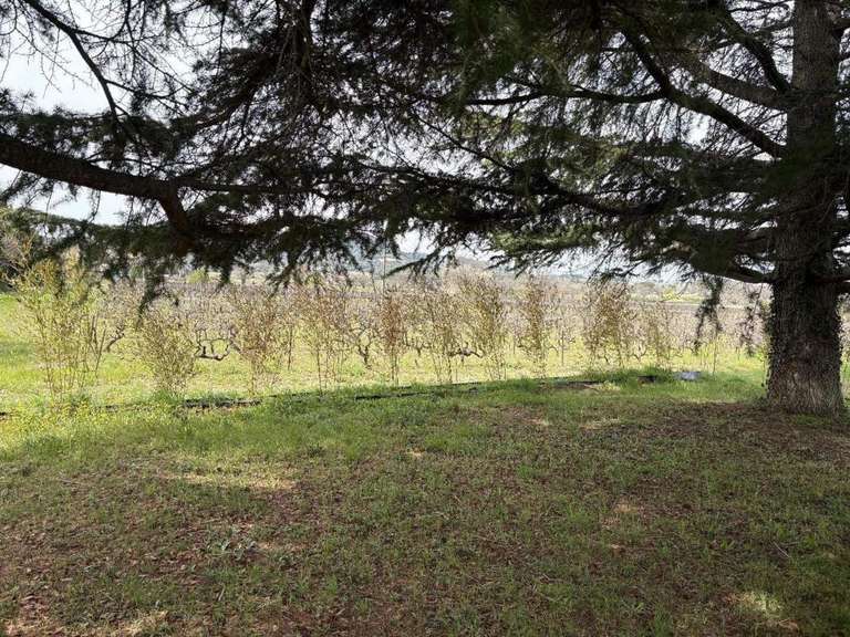 Maison Villedieu - 4 chambres - 245m²