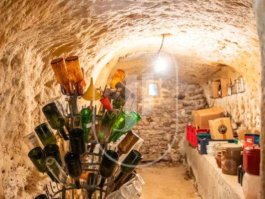 Maison Villedieu - 7 chambres - 370m²