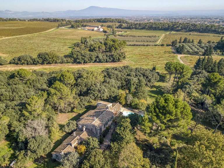 Maison Châteauneuf-du-Pape - 7 chambres - 371m²