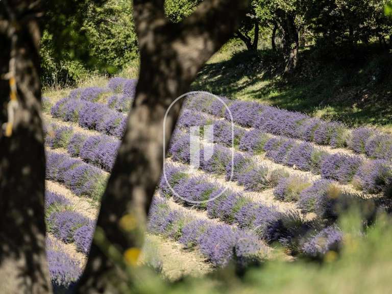 Maison La Bégude-de-Mazenc - 5 chambres - 356m²