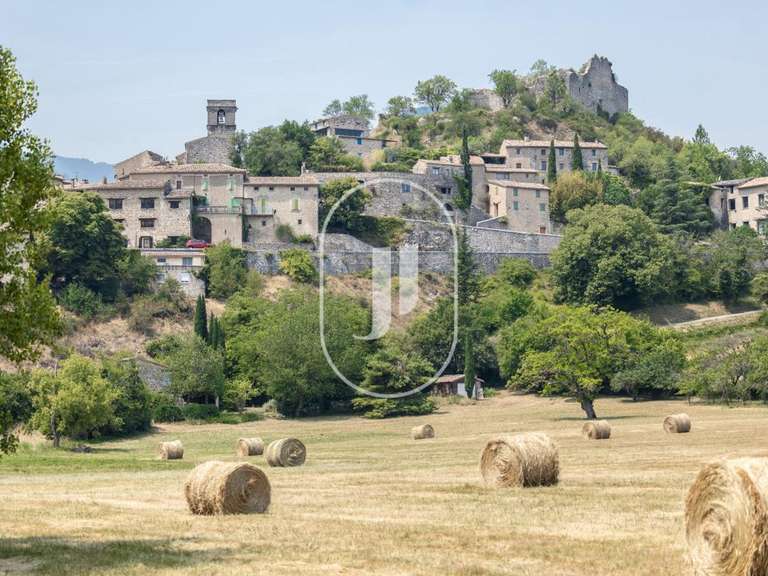 Maison Montbrun-les-Bains - 4 chambres - 315m²
