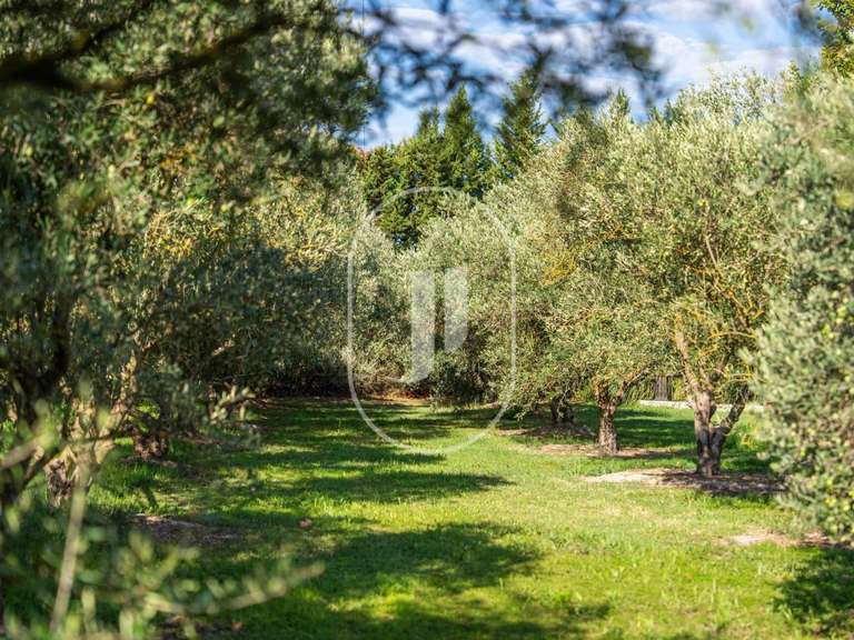 Maison Saint-Rémy-de-Provence - 5 chambres - 268m²