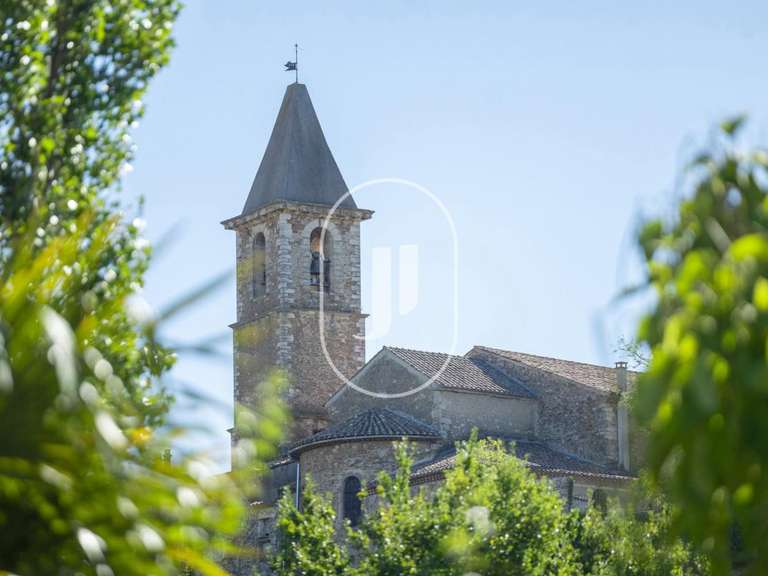 House Vaison-la-Romaine - 9 bedrooms - 400m²