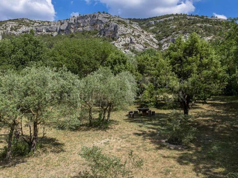 Maison Fontaine-de-Vaucluse - 5 chambres - 405m²