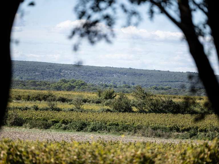 Maison Richerenches - 7 chambres - 386m²