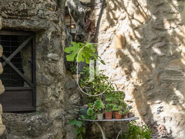Maison Vaison-la-Romaine - 6 chambres - 265m²
