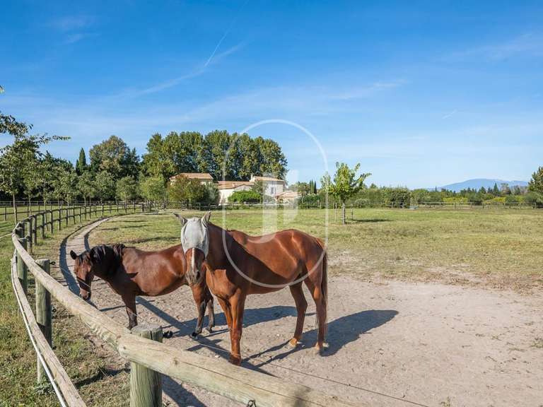 Maison L'Isle-sur-la-Sorgue - 4 chambres - 302m²