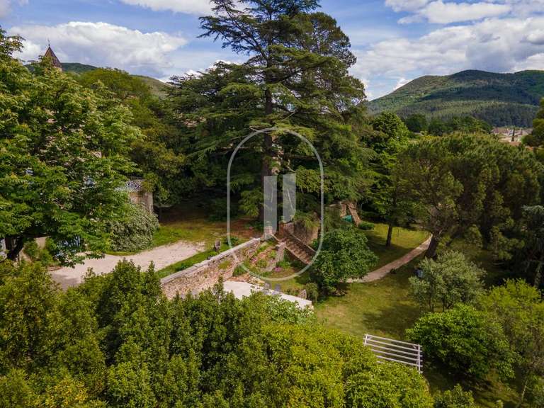 Maison Saint-Florent-sur-Auzonnet - 5 chambres - 375m²