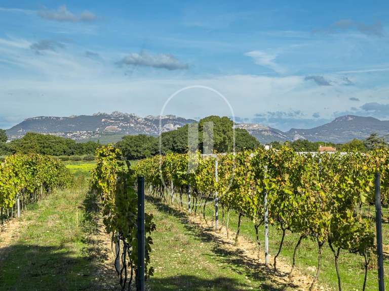 Maison Aubignan - 6 chambres - 380m²