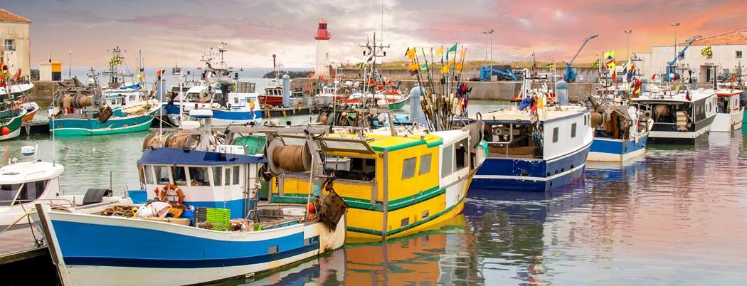 Immobilier de prestige sur l'Île d'Oléron