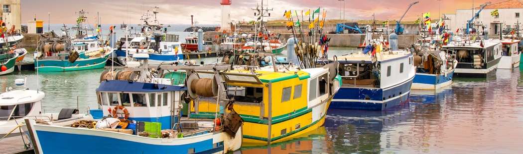 Immobilier de prestige sur l'Île d'Oléron