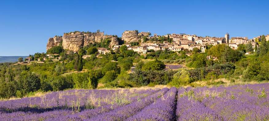 Immobilier de prestige dans le Vaucluse
