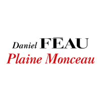 DANIEL FÉAU PLAINE MONCEAU