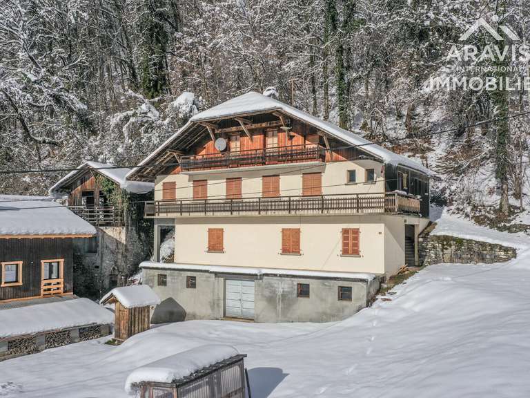 House Verchaix - 9 bedrooms - 400m²