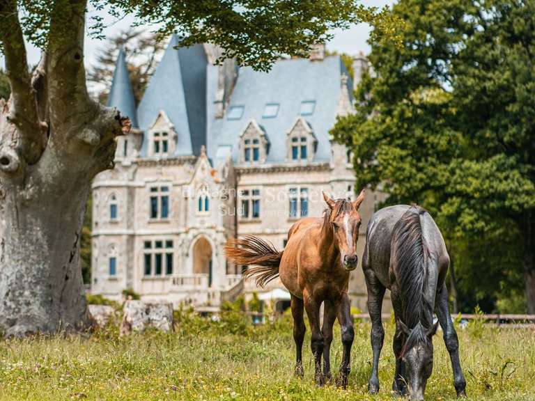Castle Plaudren - 15 bedrooms - 900m²